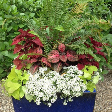 Pots, Planters and Window Boxes