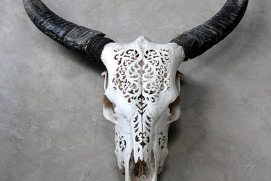 Long horn skulls