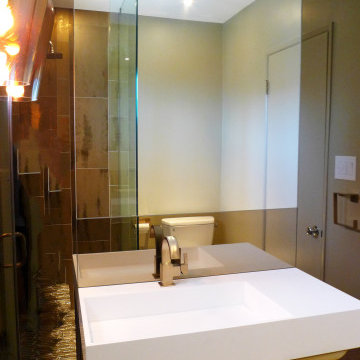 Modern Luxury Hallway Bathroom