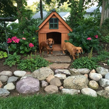 Dog Stuff