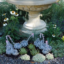 Garden Ideas
