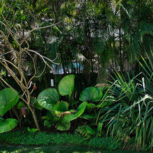 landscape for pool