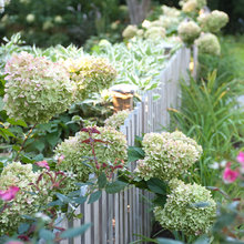 Flower Garden