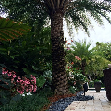 2014 Pinecrest Residence 1 year later