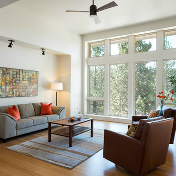 SolAire Net Zero Energy Custom Home