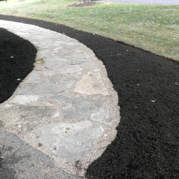 Recent Projects