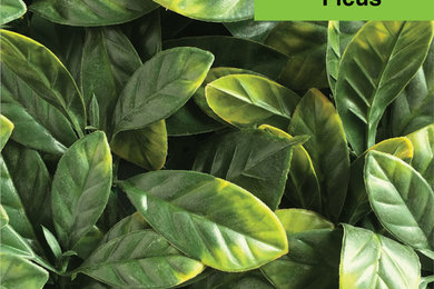 GreenLife Artificial Ficus Mat 20"x 20" Panels (12 Pack)