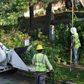 Fair Tree Services Stump Removal and Landscaping's profile photo