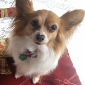 Lia Payne's photo