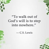 Debra Shuey's photo