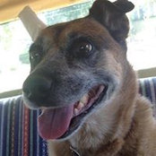 Marla Kolb's photo