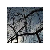 William Nickerson's photo
