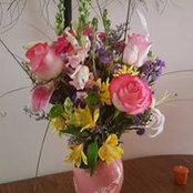 Randa Schilling's photo