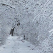 Wanda Layman's photo