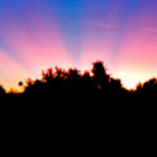 Bray McMillan's photo