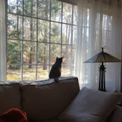 Cate Sheahan's photo