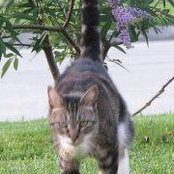 Paula Landry's photo