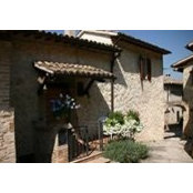 Joan Slavin's photo