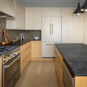 Contemporary Kitchen Remodel