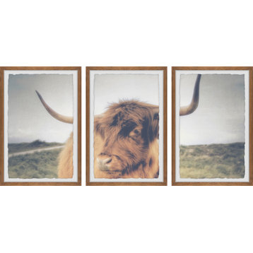 Cow's Eye View Triptych, 3-Piece Set, 8x12 Panels