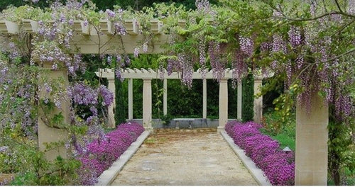 Wisteria Trellis | Houzz
