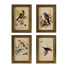 bird decor