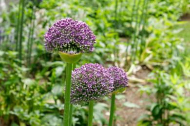 Inspiration for a transitional landscaping in Boston.