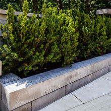 2020 front flower bed