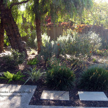 Front yard