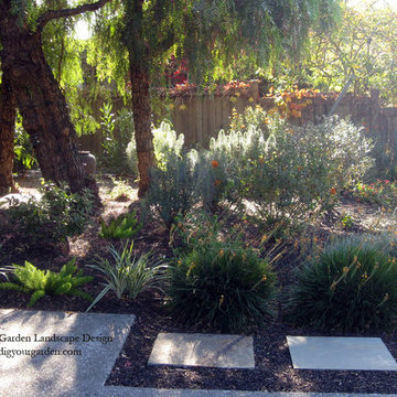 Mid Century Modern Landscape Transformation
