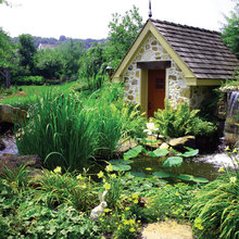 shed