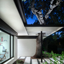Redland Tree Cutout