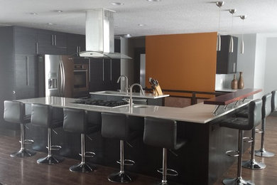 Minimalist kitchen photo in Chicago