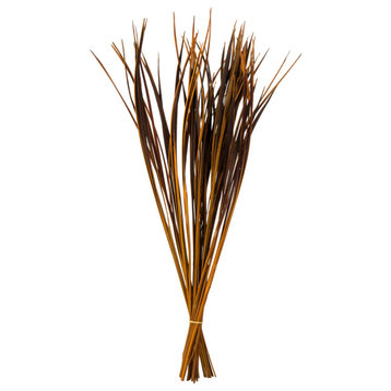 Vickerman all Natural Splinter Grass Bundle, Dried, Aspen Gold, 28-36"