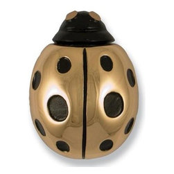 Michael Healy Solid Bronze Ladybug Door Knocker - Door Knockers