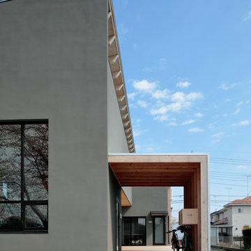 おおきな桜の樹を望む家