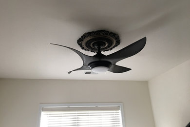 Lighting fixtures and fans