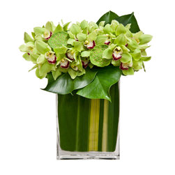 Green Mod - Home Decor