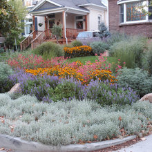 Monte Verde landscape ideas