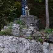 Eric Wettstein's photo