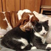 Susan Laramie's photo