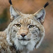 Yves Emond's photo