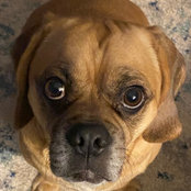 Michael Nelson's photo