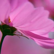 Foto von Karen Bishop