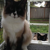 Deanna McKinney's photo