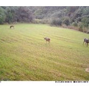 Milton LeBlanc's photo