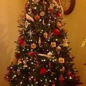 Danette Taylor's photo