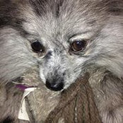 Krista Milligan's photo