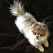 Amanda Daly's photo