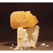 Patricia Aresty's photo